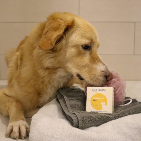 Manuka-Öl Seife Hund purapep
