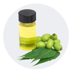 purapep Inhaltsstoff Manuka Seife Neemöl