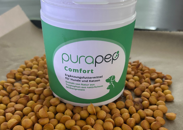 Gesunde Hundesnacks mit Comfort Pulver