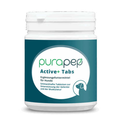 purapep Active+ Tabs, Dose mit dunkelblauem Etikett, Futterergänzung für Hunde