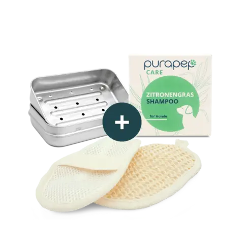 Pflege-Trio: Frischepflege mit Zitronengras-Shampoo