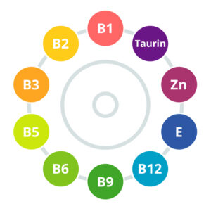 purapep Senior Inhaltsstoffe Vitamine Spurenelemente